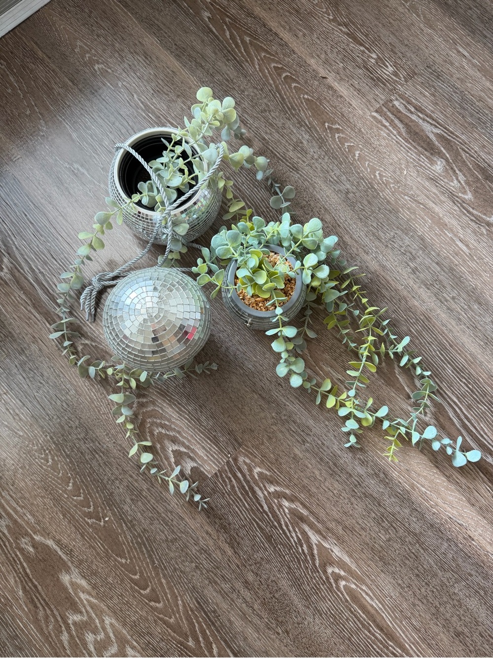 decor - Picture 2 of 9
